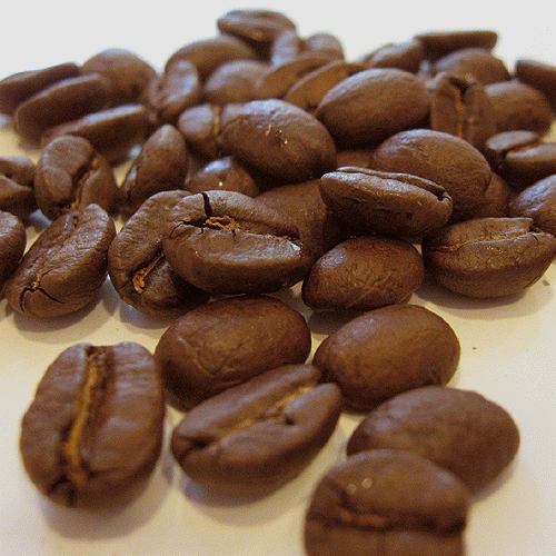 %e3%82%b3%e3%83%ad%e3%83%b3%e3%83%93%e3%82%a28